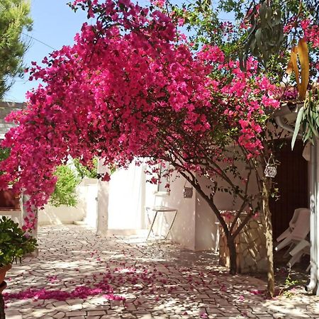 Villa Beatrice Serranova ห้อง รูปภาพ