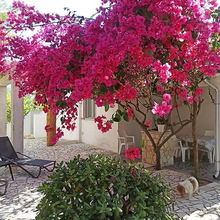 Villa Beatrice Serranova ภายนอก รูปภาพ
