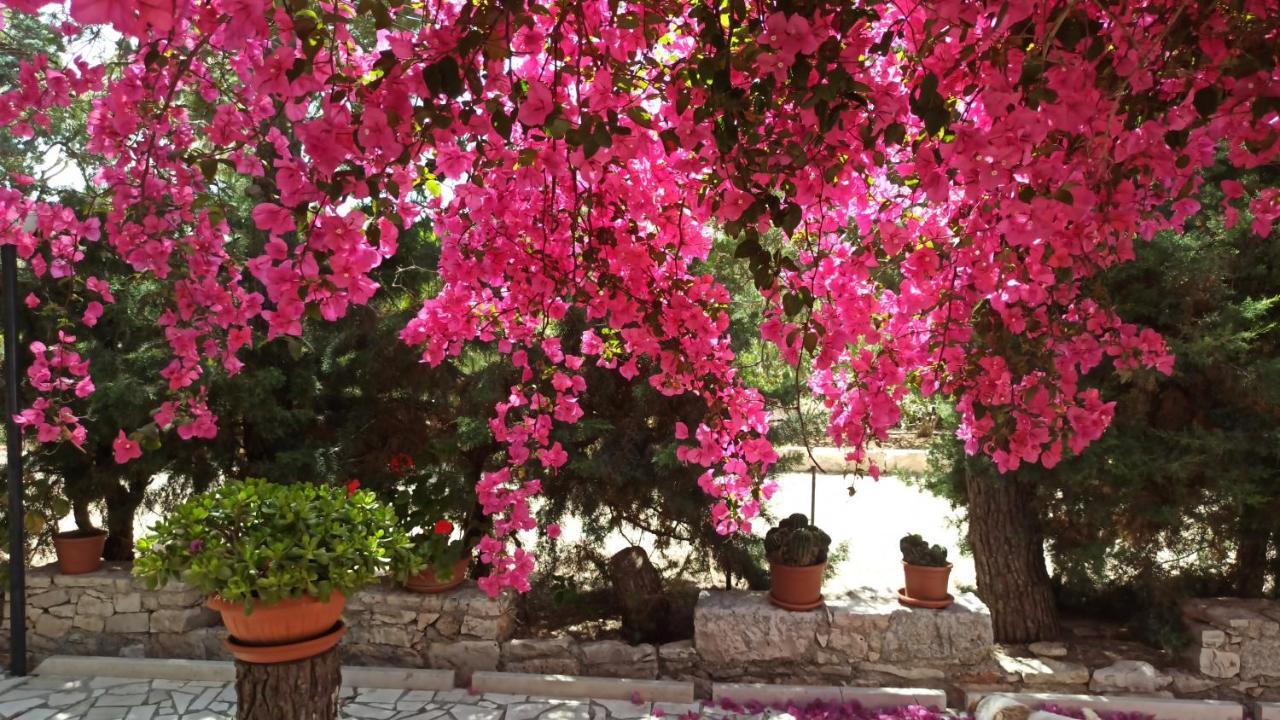 Villa Beatrice Serranova ภายนอก รูปภาพ