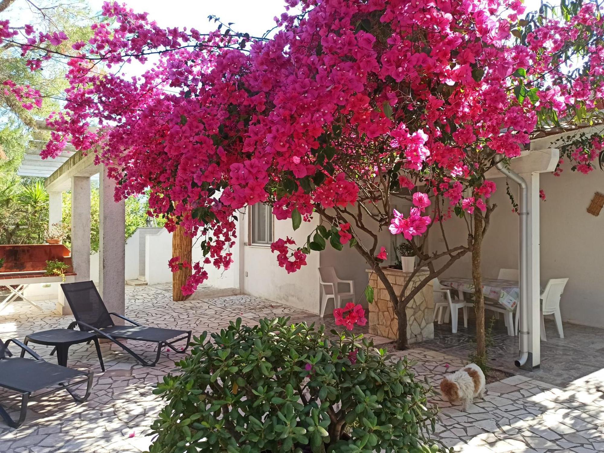 Villa Beatrice Serranova ภายนอก รูปภาพ