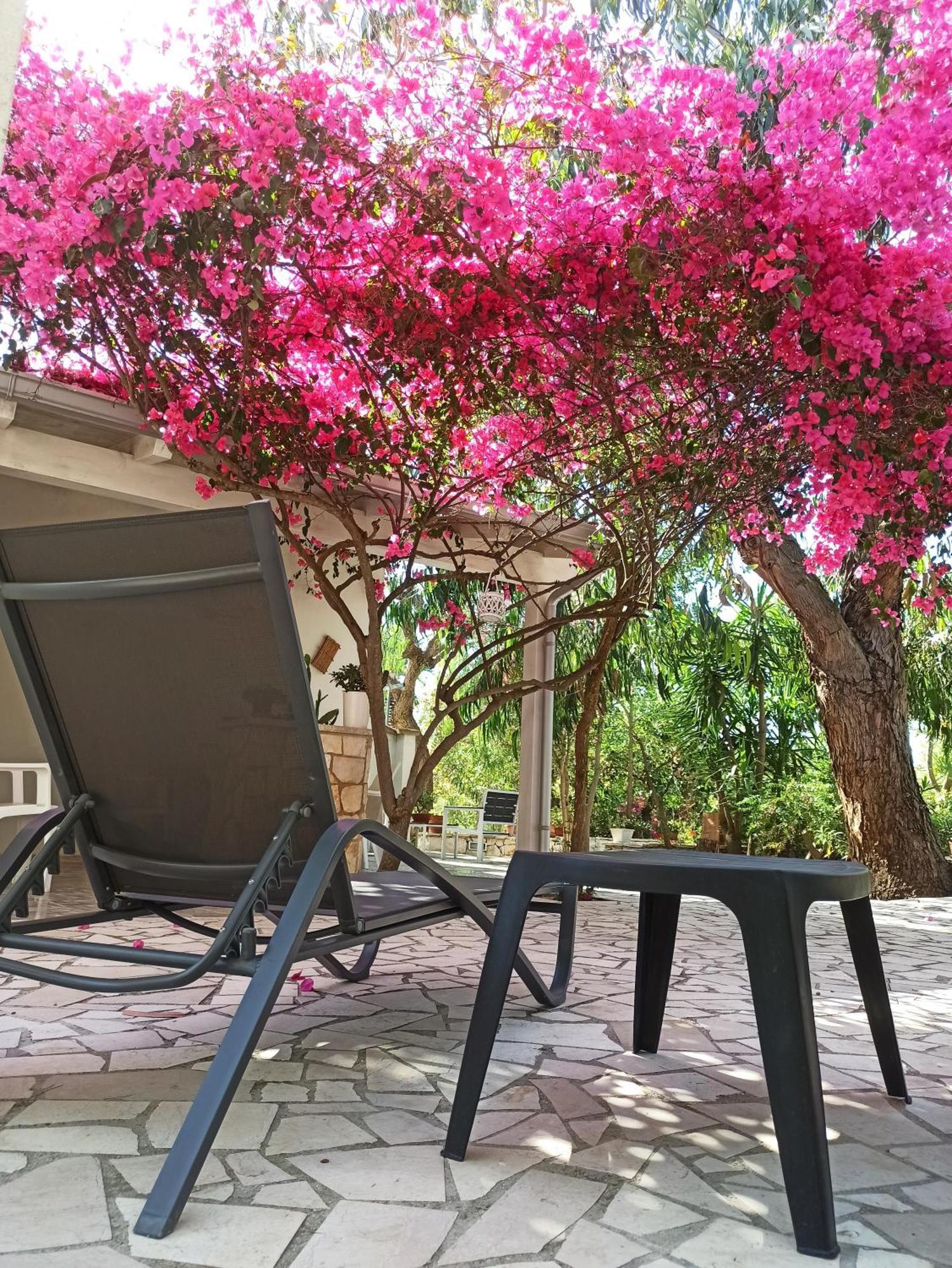 Villa Beatrice Serranova ภายนอก รูปภาพ