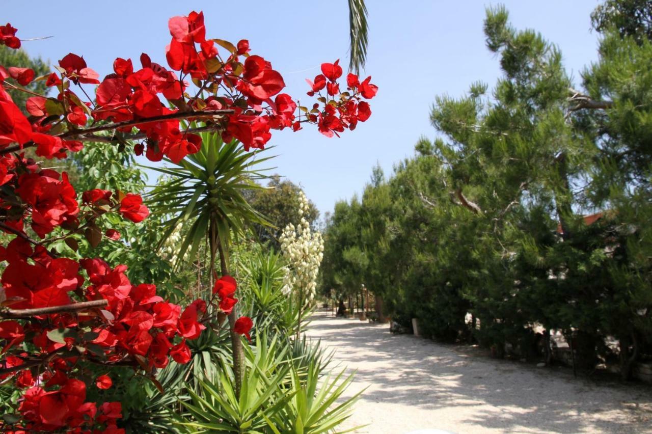 Villa Beatrice Serranova ภายนอก รูปภาพ